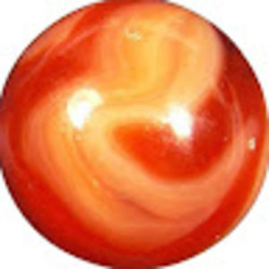 Meet your Posher, Shane